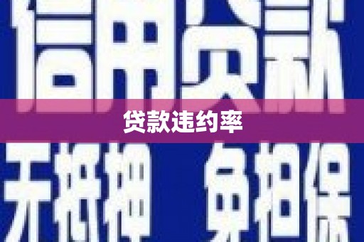 祥符贷款违约率
