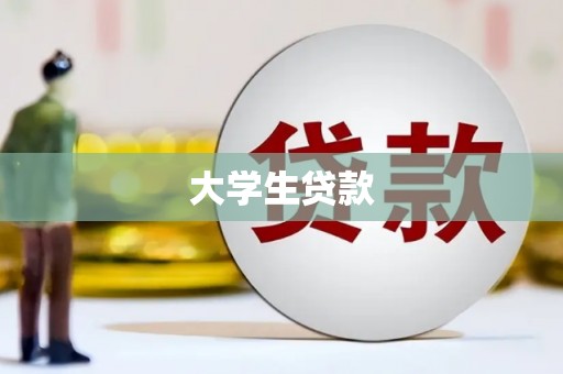 阜沙大学生贷款
