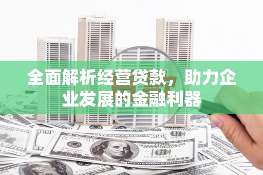阜沙全面解析经营贷款，助力企业发展的金融利器