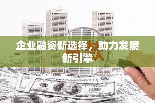 宁明企业融资新选择，助力发展新引擎