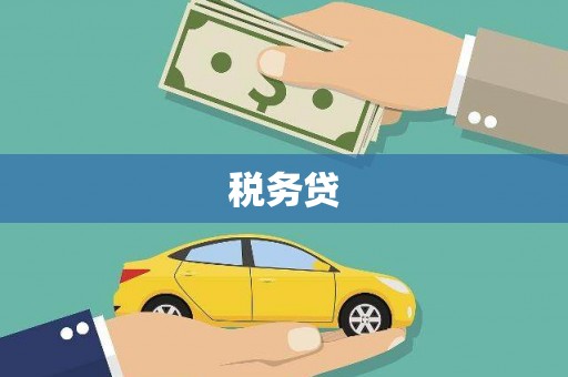 宁明税务贷