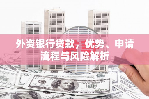 宁明外资银行贷款，优势、申请流程与风险解析
