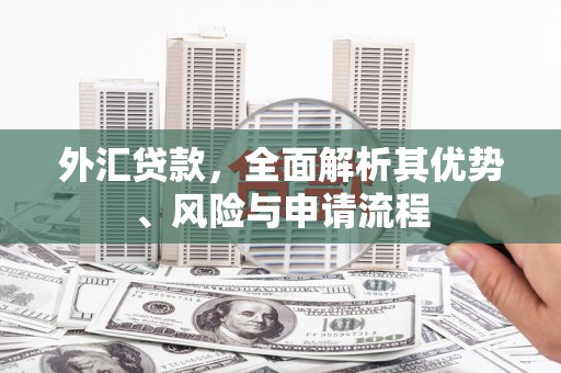 宁明外汇贷款，全面解析其优势、风险与申请流程