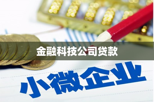 翁源金融科技公司贷款