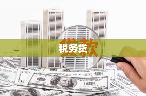 宜川税务贷
