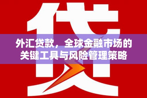 印台外汇贷款，全球金融市场的关键工具与风险管理策略