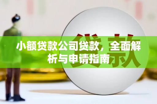 林园小额贷款公司贷款，全面解析与申请指南