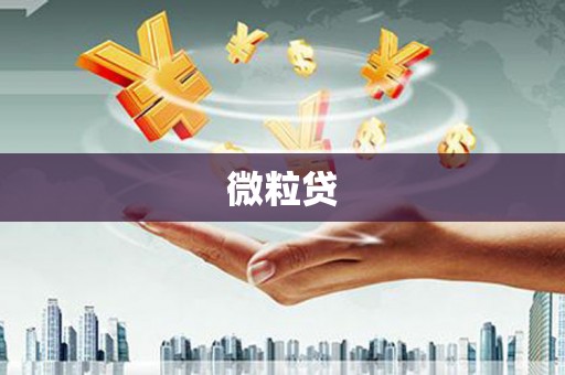 原平微粒贷