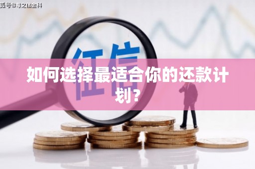 原平如何选择最适合你的还款计划？
