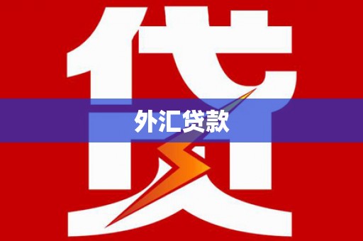 林园外汇贷款