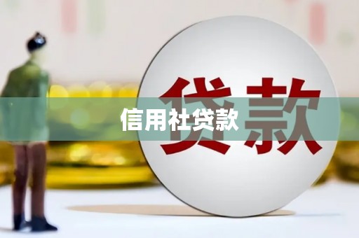 沅江信用社贷款