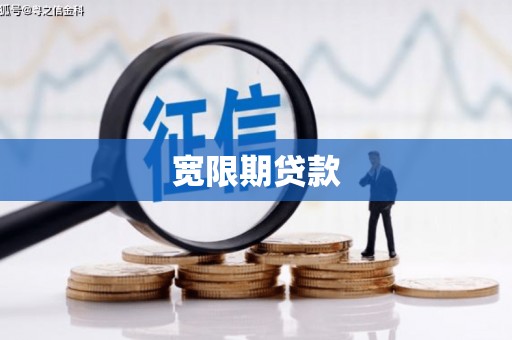 林园宽限期贷款