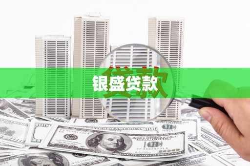沅江银盛贷款