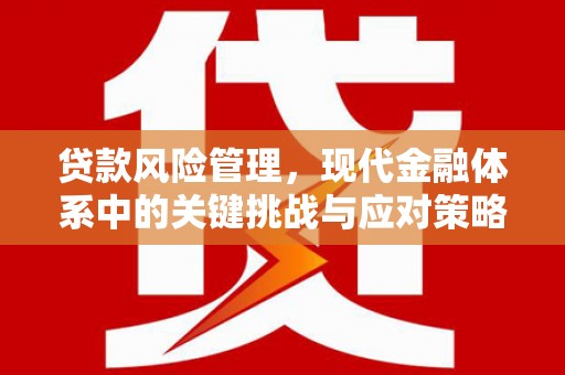 六横贷款风险管理，现代金融体系中的关键挑战与应对策略