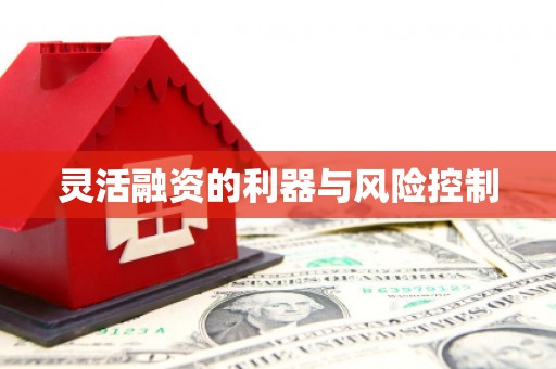 友谊灵活融资的利器与风险控制