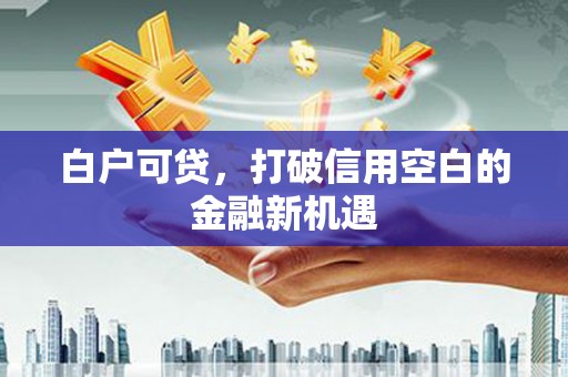 五大连池白户可贷，打破信用空白的金融新机遇