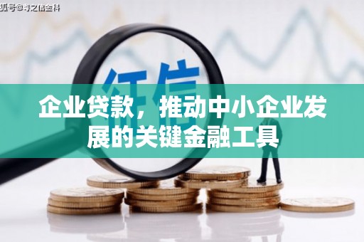 娄星企业贷款，推动中小企业发展的关键金融工具