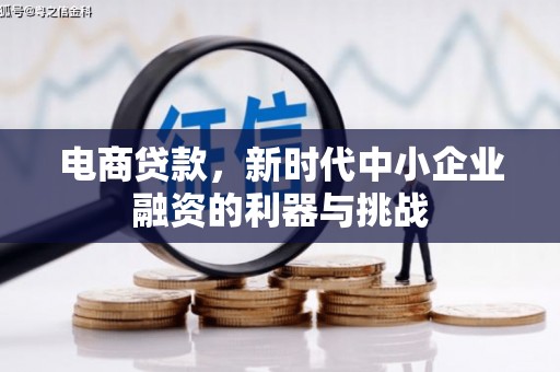 温江电商贷款，新时代中小企业融资的利器与挑战