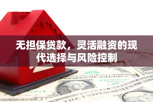 酉阳无担保贷款，灵活融资的现代选择与风险控制