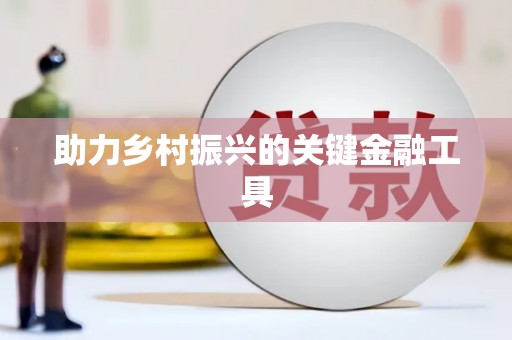 友谊助力乡村振兴的关键金融工具