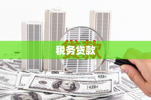 新野税务贷款