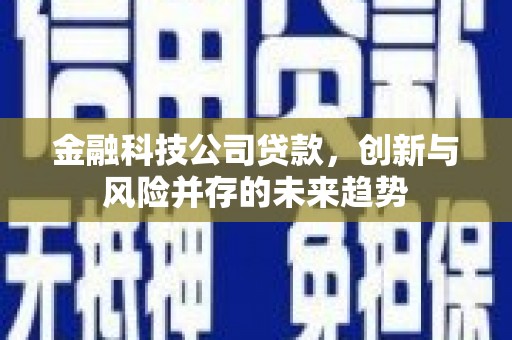 新庄金融科技公司贷款，创新与风险并存的未来趋势