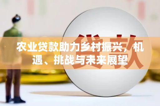 泰和农业贷款助力乡村振兴，机遇、挑战与未来展望