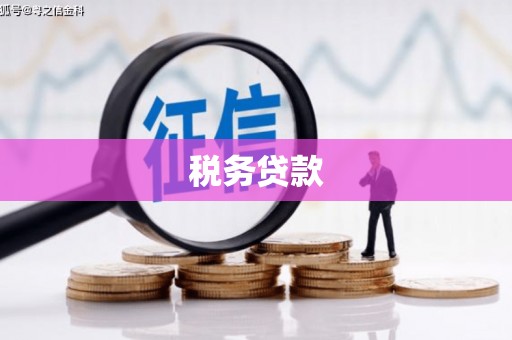 吴兴税务贷款