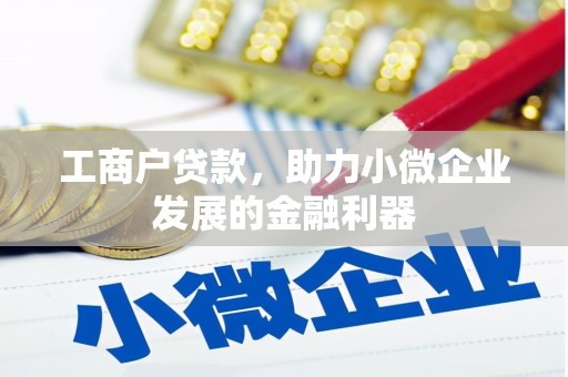 萝北工商户贷款，助力小微企业发展的金融利器