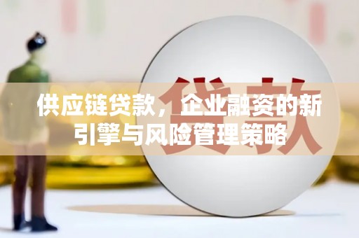 翁源供应链贷款，企业融资的新引擎与风险管理策略