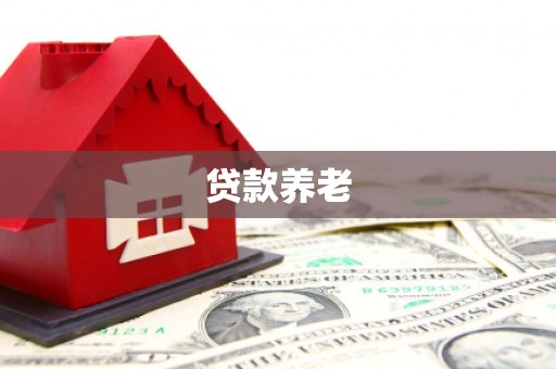 光山贷款养老