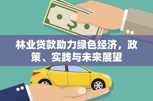 民雄林业贷款助力绿色经济，政策、实践与未来展望