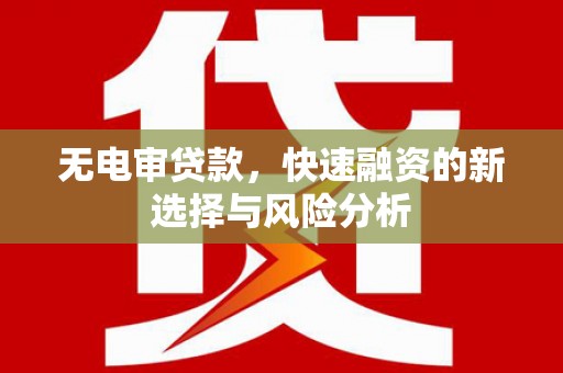 光山无电审贷款，快速融资的新选择与风险分析