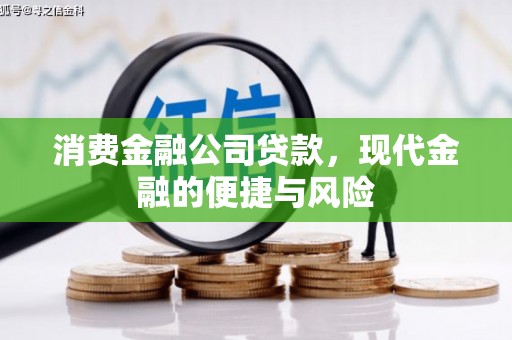 友谊消费金融公司贷款，现代金融的便捷与风险