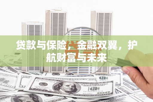 五大连池贷款与保险，金融双翼，护航财富与未来
