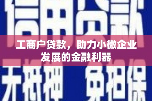 民雄工商户贷款，助力小微企业发展的金融利器