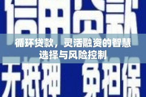 厦门循环贷款，灵活融资的智慧选择与风险控制