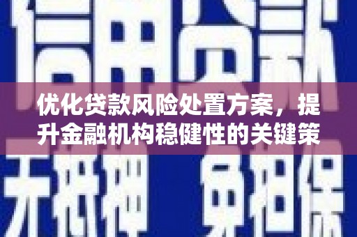 晋安优化贷款风险处置方案，提升金融机构稳健性的关键策略