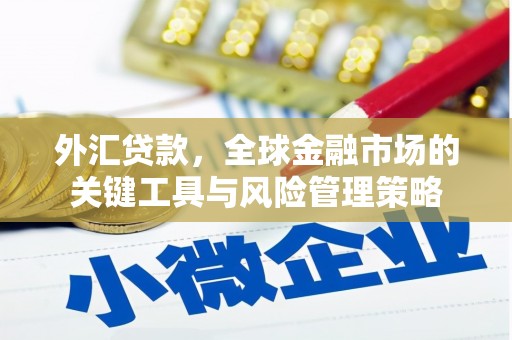 原平外汇贷款，全球金融市场的关键工具与风险管理策略