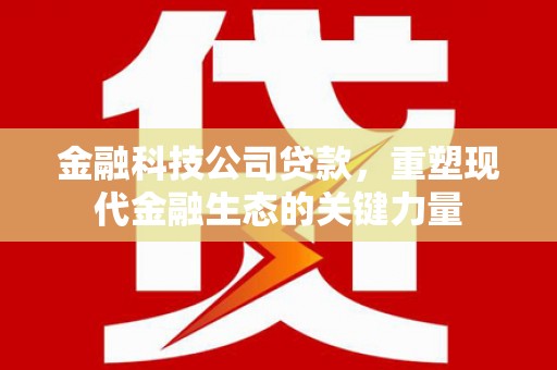 兴宾金融科技公司贷款，重塑现代金融生态的关键力量