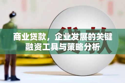 玛曲商业贷款，企业发展的关键融资工具与策略分析