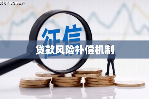 玛曲贷款风险补偿机制
