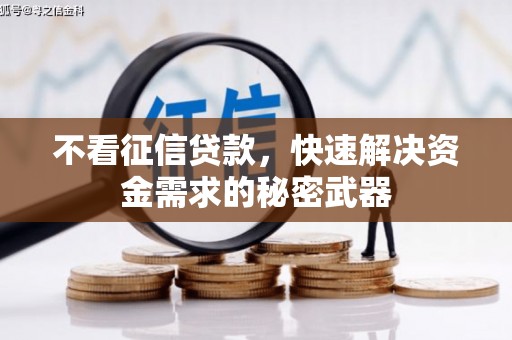 阆中不看征信贷款，快速解决资金需求的秘密武器