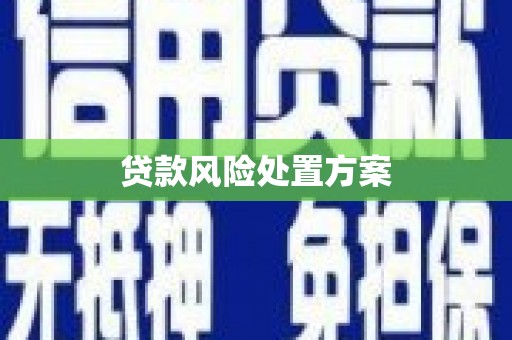 扎囊贷款风险处置方案