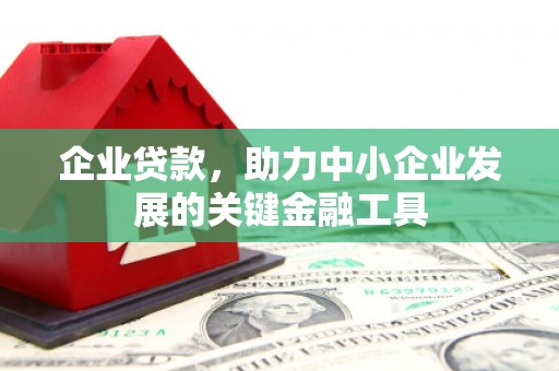 扎囊企业贷款，助力中小企业发展的关键金融工具