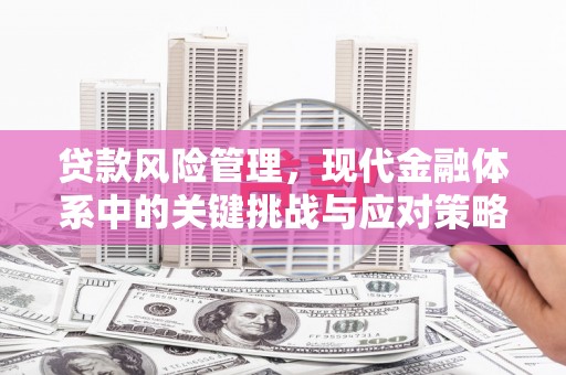 黄埔贷款风险管理，现代金融体系中的关键挑战与应对策略