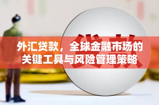 大竹外汇贷款，全球金融市场的关键工具与风险管理策略