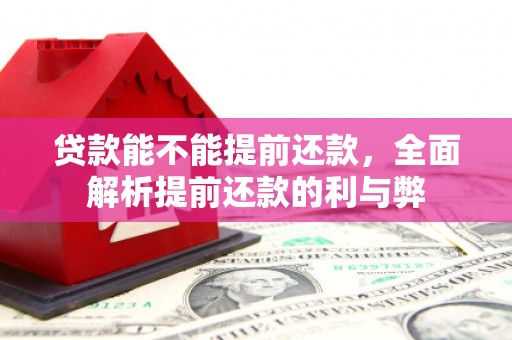 扎囊贷款能不能提前还款，全面解析提前还款的利与弊