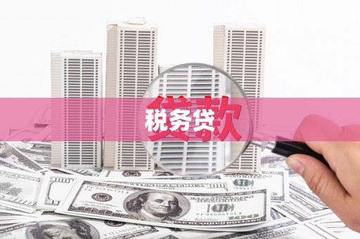 中国澳门税务贷