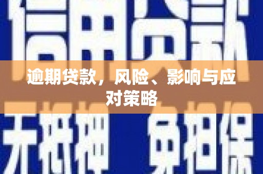 陆川逾期贷款，风险、影响与应对策略